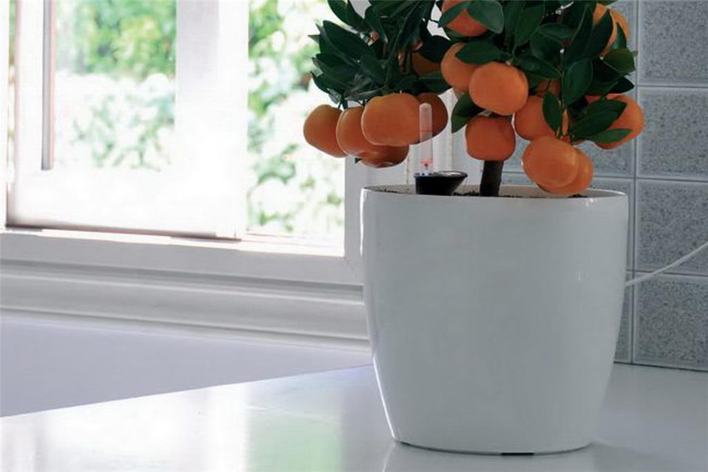 ROTO BRILLANTE FLOWER POTS